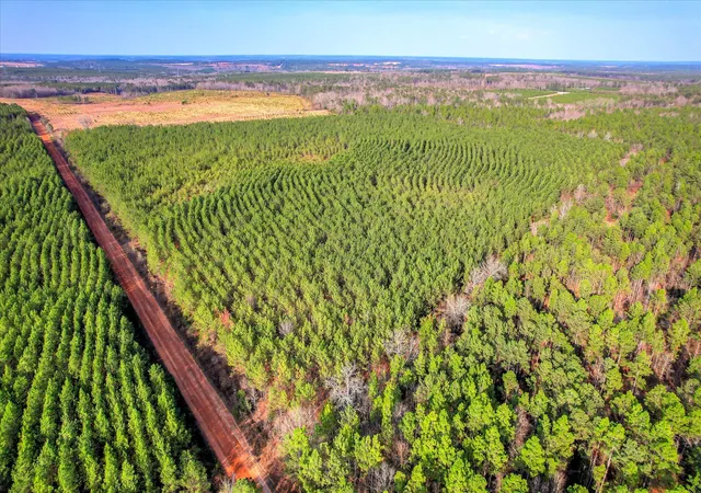 4th image of 0 Old Thomson Rd, Wrens, GA 30833 | MLS# 98254665