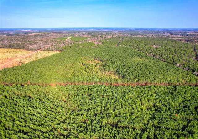 5th image of 0 Old Thomson Rd, Wrens, GA 30833 | MLS# 98254665