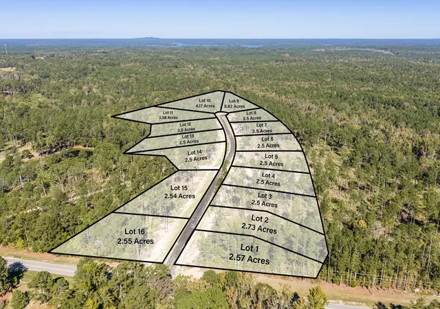 2nd image of 174 Beagle Chase Dr, Appling, GA 30802 | MLS# 98225087