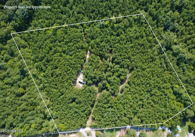 Photo 2 of Land for sale at 239 Lick Crk Rd, Carthage, NC 28327 | MLS# 100600219 | Listing updated on 2026-09-04