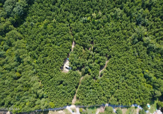 Photo 3 of Land for sale at 239 Lick Crk Rd, Carthage, NC 28327 | MLS# 100600219 | Listing updated on 2026-09-04