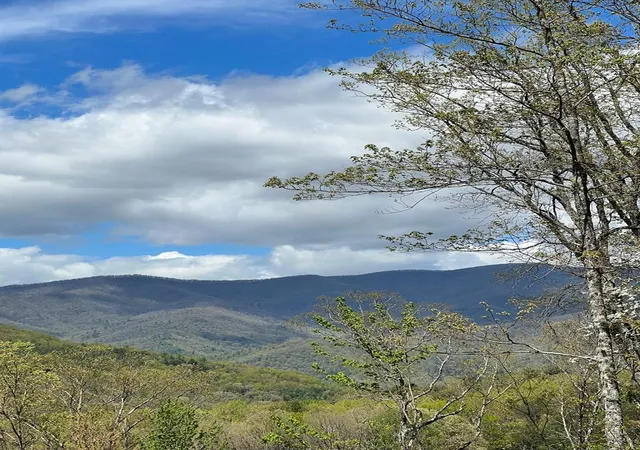 Photo 1 of Land for sale at 33 35 36 J Ash Branch, Hayesville, NC 28904 | MLS# 98524652 | Listing updated on 2026-07-21