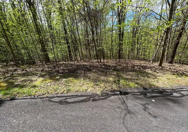 Photo 3 of Land for sale at 33 35 36 J Ash Branch, Hayesville, NC 28904 | MLS# 98524652 | Listing updated on 2026-07-21
