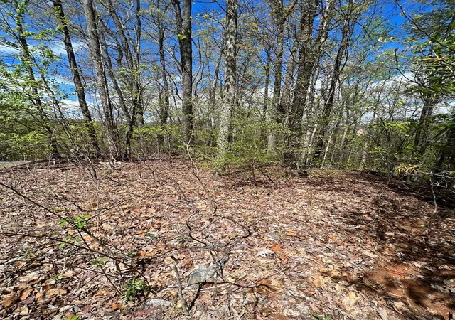 Photo 4 of Land for sale at 33 35 36 J Ash Branch, Hayesville, NC 28904 | MLS# 98524652 | Listing updated on 2026-07-21