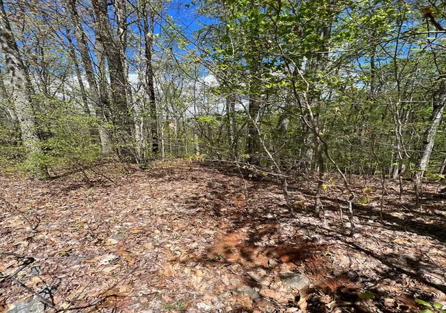 Photo 5 of Land for sale at 33 35 36 J Ash Branch, Hayesville, NC 28904 | MLS# 98524652 | Listing updated on 2026-07-21