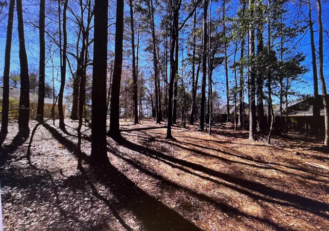 Photo 3 of Land for sale at 0 Osprey Ln, Augusta, GA 30907 | MLS# 98224862 | Listing updated on 2026-08-18