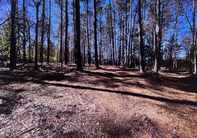 Photo 3 of Land for sale at 0 Osprey Ln, Augusta, GA 30907 | MLS# 98224862 | Listing updated on 2026-08-18