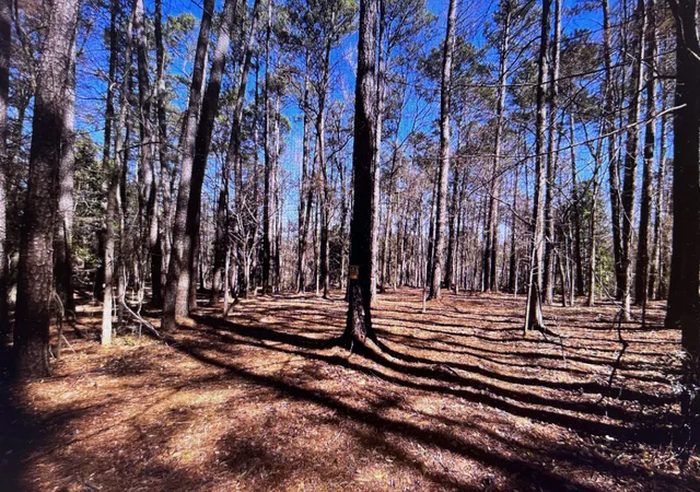 Photo 4 of Land for sale at 0 Osprey Ln, Augusta, GA 30907 | MLS# 98224862 | Listing updated on 2026-08-18