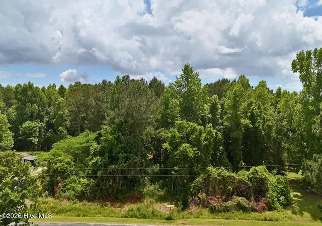 4th image of 0 Ruby'S Ln, Maysville, NC 28555 | MLS# 100577753