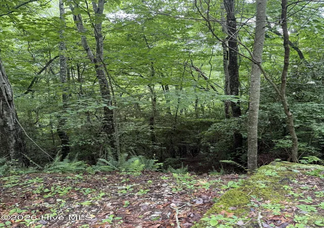 Photo 2 of Land for sale at Lot 15 Mountain Vista Ln, Topton, NC 28781 | MLS# 100594454 | Listing updated on 2026-08-18