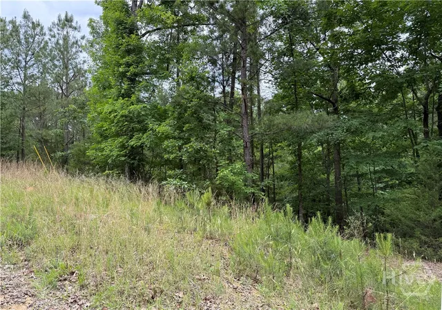 Homes for sale in Elberton, GA | Lot 31 Bramlett Cr, Elberton, GA 30635 | MLS# CL356077