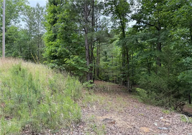 Homes for sale in Elberton, GA | Lot 31 Bramlett Cr, Elberton, GA 30635 | MLS# CL356077
