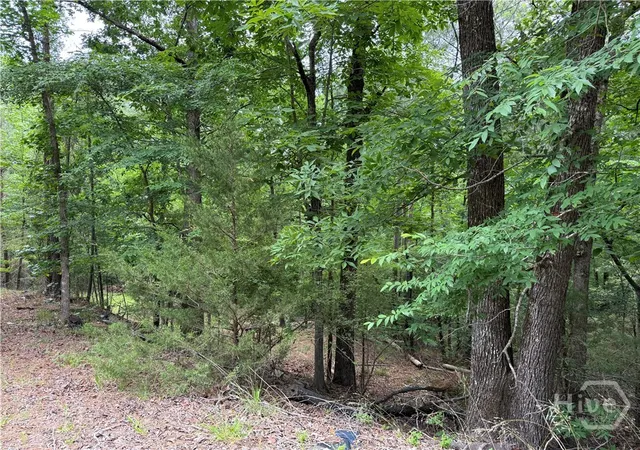 Homes for sale in Elberton, GA | Lot 31 Bramlett Cr, Elberton, GA 30635 | MLS# CL356077