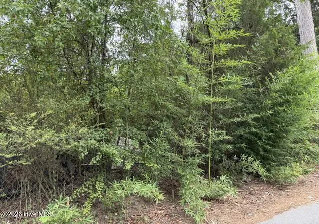 Photo 1 of Land for sale at 105 Lamar St, Beech Island, SC 29842 | MLS# 100599654 | Listing updated on 2026-09-02