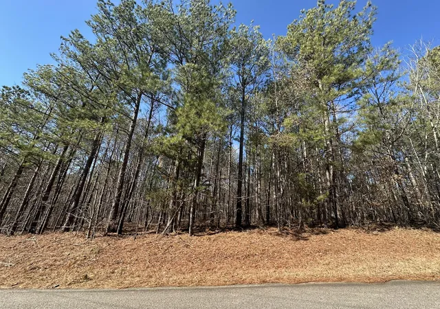 1st image of Lot 31 Willow Wy, Lincolnton, GA 30817 | MLS# 98254629