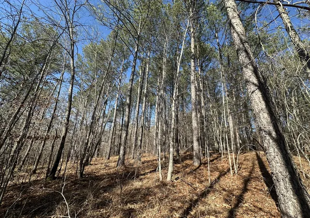 5th image of Lot 31 Willow Wy, Lincolnton, GA 30817 | MLS# 98254629