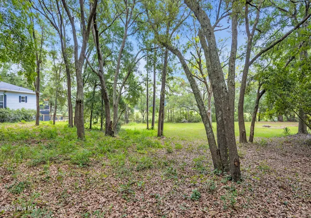 Photo 3 of Land for sale at 1909 Egret St SW, Shallotte, NC 28470 | MLS# 100590992 | Listing updated on 2026-09-29