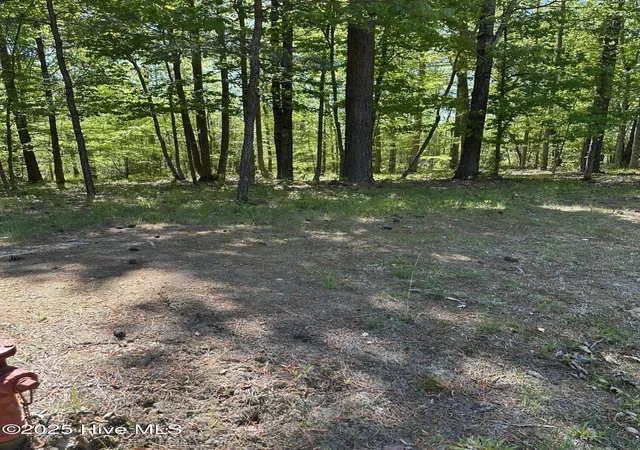 4th image of F 11 Mattaponi Dr, Hertford, NC 27944 | MLS# 100575179