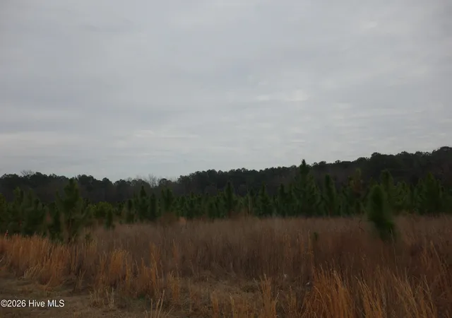 Photo 1 of Land for sale at Lot 32 Stuarts Ml Rd, Fairmont, NC 28340 | MLS# 100551726 | Listing updated on 2026-05-23