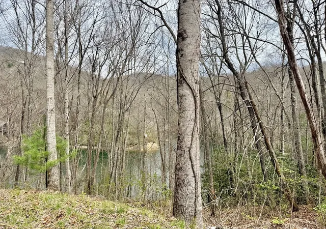 Homes for sale in Topton, NC | Tbd Rainwater Point / Indian Lake Rd, Topton, NC 28781 | MLS# 98544375