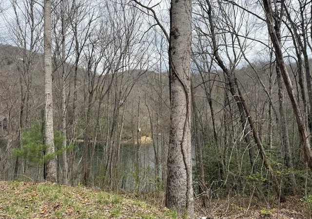 Homes for sale in Topton, NC | Tbd Rainwater Point / Indian Lake Rd, Topton, NC 28781 | MLS# 98544375