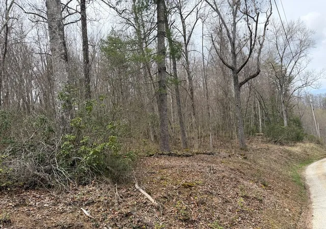 Photo 4 of Land for sale at #20 Rainwater Point / Indian Lake Rd, Topton, NC 28781 | MLS# 98544375 | Listing updated on 2026-07-26