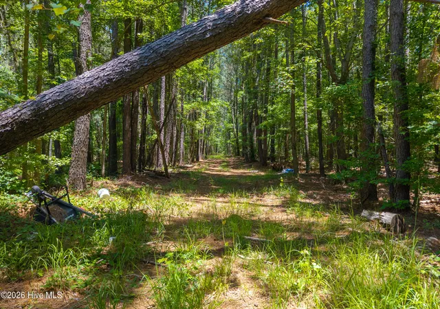 10th image of 674 State Road 1415, Greenville, NC 27834 | MLS# 100578114