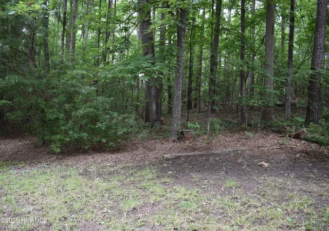 Homes for sale in Blounts Creek, NC | Lot 6 River Rd, Blounts Creek, NC 27814 | MLS# 100512257