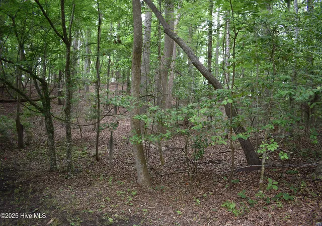 Homes for sale in Blounts Creek, NC | Lot 6 River Rd, Blounts Creek, NC 27814 | MLS# 100512257
