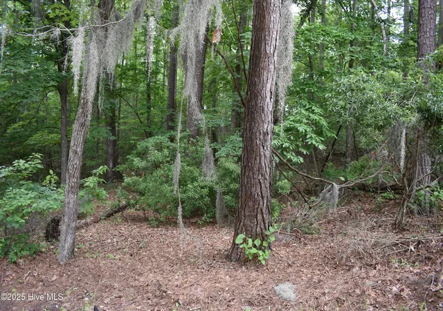 Homes for sale in Blounts Creek, NC | Lot 6 River Rd, Blounts Creek, NC 27814 | MLS# 100512257