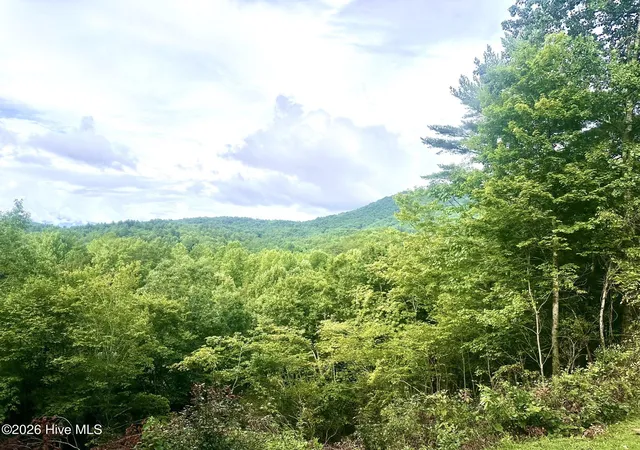 Homes for sale in Marble, NC | 88 Upper Ridge Rd, Marble, NC 28905 | MLS# 100582778