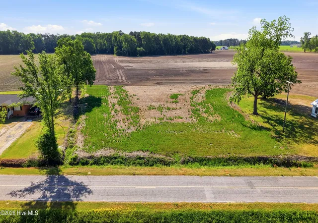 Homes for sale in Mount Olive, NC | 307 Flowers Rd, Mount Olive, NC 28365 | MLS# 100586821