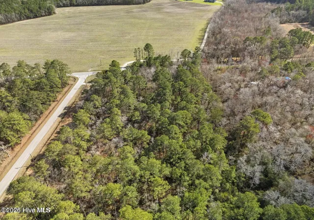 12th image of Lot 2r Page Rd, Burgaw, NC 28425 | MLS# 100573224