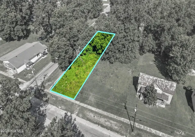Photo 3 of Land for sale at 201 Martin Luther King St, Rowland, NC 28383 | MLS# 100591991 | Listing updated on 2026-08-29