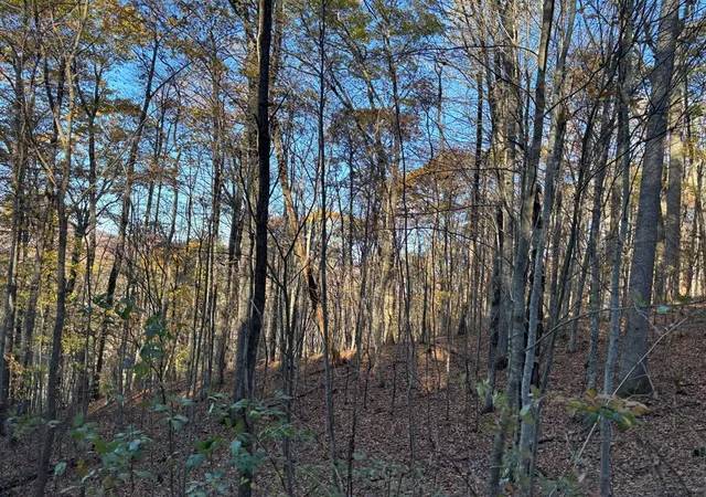 Homes for sale in Topton, NC | Lot#39 Falcon Stone Rdg, Topton, NC 28781 | MLS# 98544051