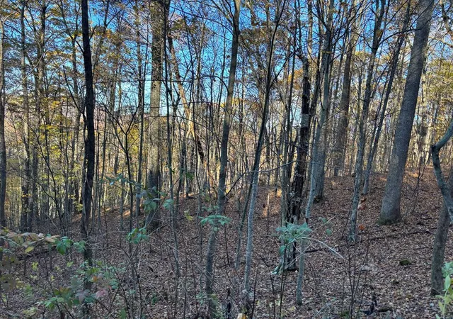 Homes for sale in Topton, NC | Lot#39 Falcon Stone Rdg, Topton, NC 28781 | MLS# 98544051