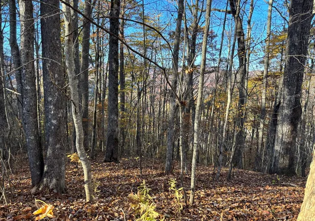 Homes for sale in Topton, NC | Lot#39 Falcon Stone Rdg, Topton, NC 28781 | MLS# 98544051