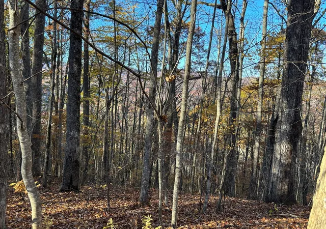 Homes for sale in Topton, NC | Lot#39 Falcon Stone Rdg, Topton, NC 28781 | MLS# 98544051