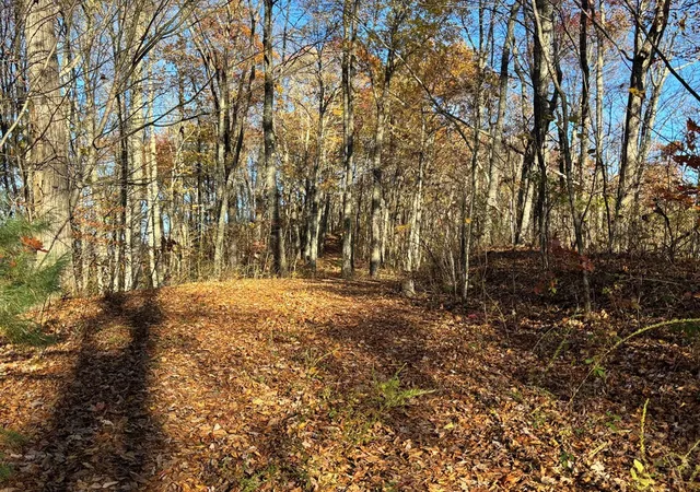 Homes for sale in Topton, NC | Lot#39 Falcon Stone Rdg, Topton, NC 28781 | MLS# 98544051