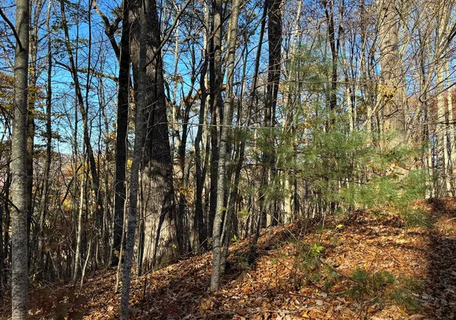 Homes for sale in Topton, NC | Lot#39 Falcon Stone Rdg, Topton, NC 28781 | MLS# 98544051