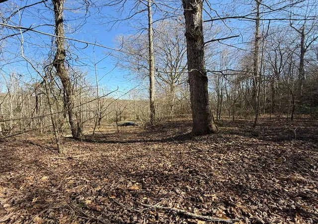 Homes for sale in Brasstown, NC | Tbd Royal Oaks Trl, Brasstown, NC 28902 | MLS# 98543800