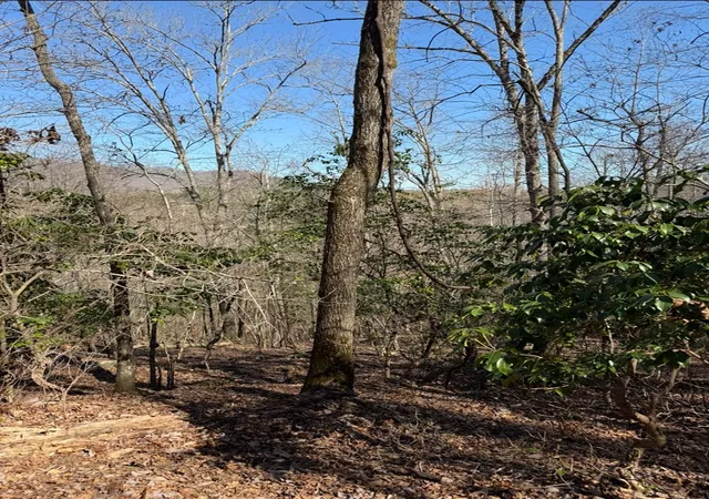 Homes for sale in Brasstown, NC | Tbd Royal Oaks Trl, Brasstown, NC 28902 | MLS# 98543800