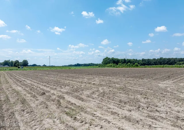 Photo 2 of Land for sale at 000 Oberry Rd, Dudley, NC 28333 | MLS# 100520582 | Listing updated on 2026-07-22