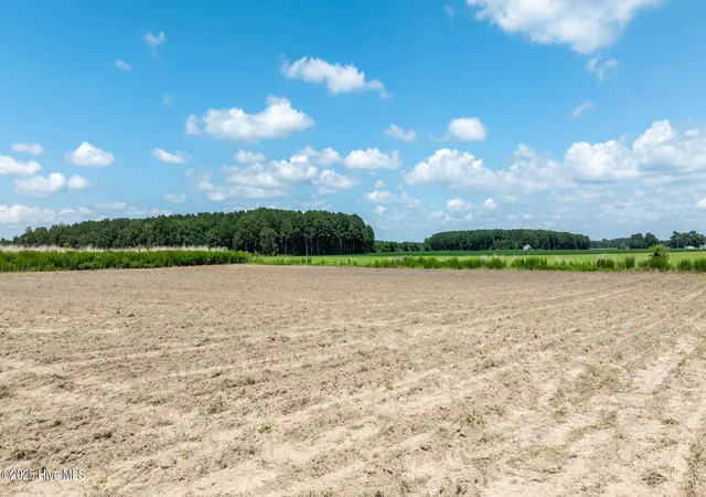 Photo 3 of Land for sale at 000 Oberry Rd, Dudley, NC 28333 | MLS# 100520582 | Listing updated on 2026-07-22