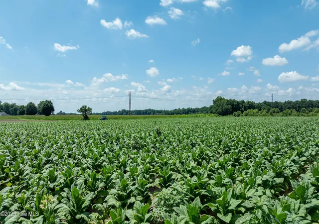 Photo 4 of Land for sale at 000 Oberry Rd, Dudley, NC 28333 | MLS# 100520582 | Listing updated on 2026-07-22
