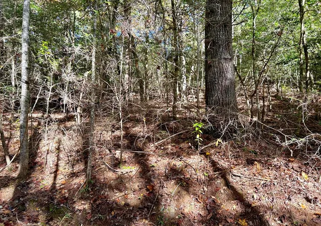 Photo 1 of Land for sale at Lot 6 Beaverdam Loop, Murphy, NC 28906 | MLS# 98544507 | Listing updated on 2026-08-12