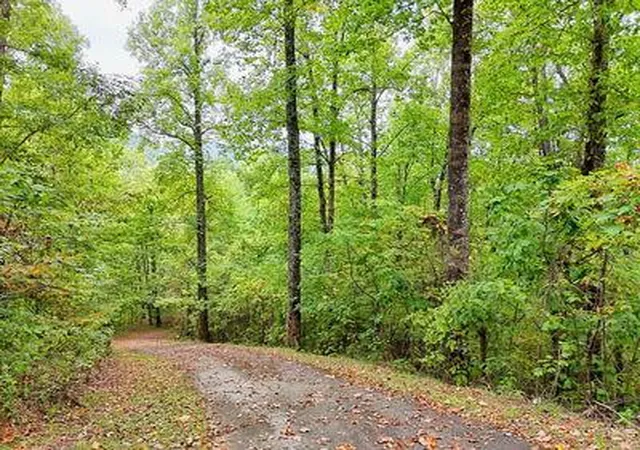 Homes for sale in Hayesville, NC | Lot 1 Skyview Dr, Hayesville, NC 28904 | MLS# 98524871