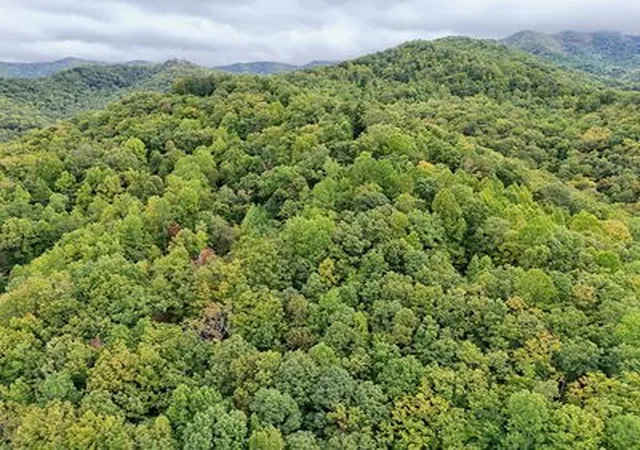 Homes for sale in Hayesville, NC | Lot 1 Skyview Dr, Hayesville, NC 28904 | MLS# 98524871