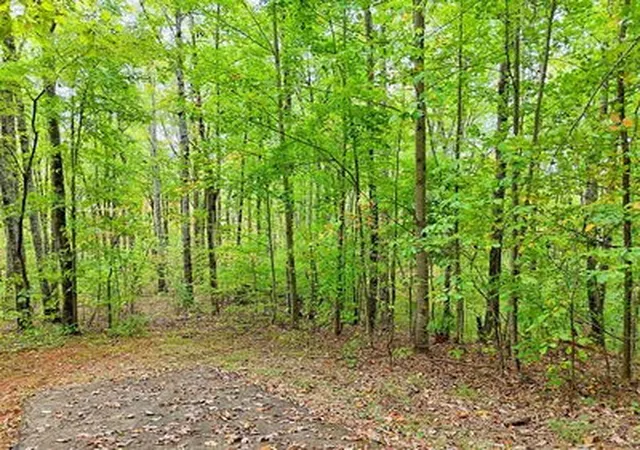 Homes for sale in Hayesville, NC | Lot 1 Skyview Dr, Hayesville, NC 28904 | MLS# 98524871