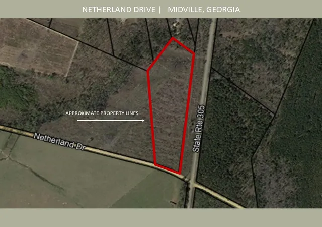 Homes for sale in Midville, GA | 0 Netherland Dr, Midville, GA 30441 | MLS# 98211921